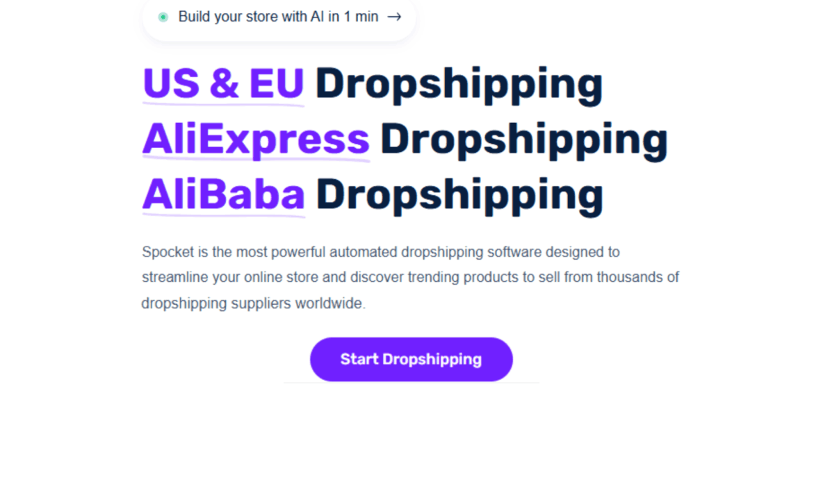 Spocket dropshipping